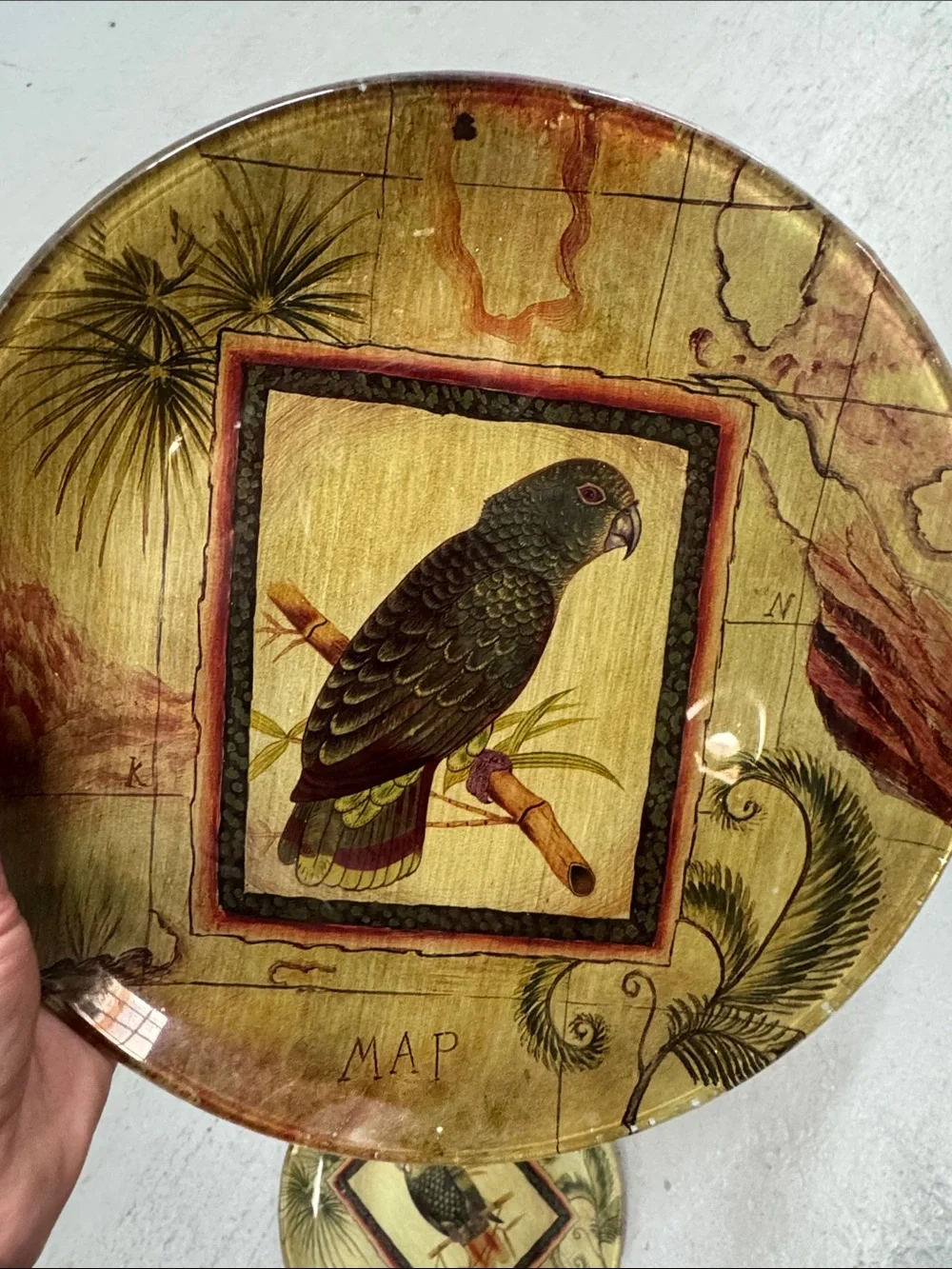 Set of 2 Decorative Parrot Accent Painted Glass Plates in Olive & Gold Tones